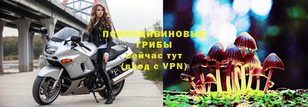 кокс Бородино