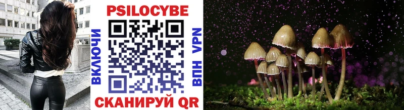 Псилоцибиновые грибы Cubensis  Сосногорск 